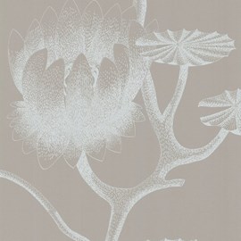 Wallpaper Lily