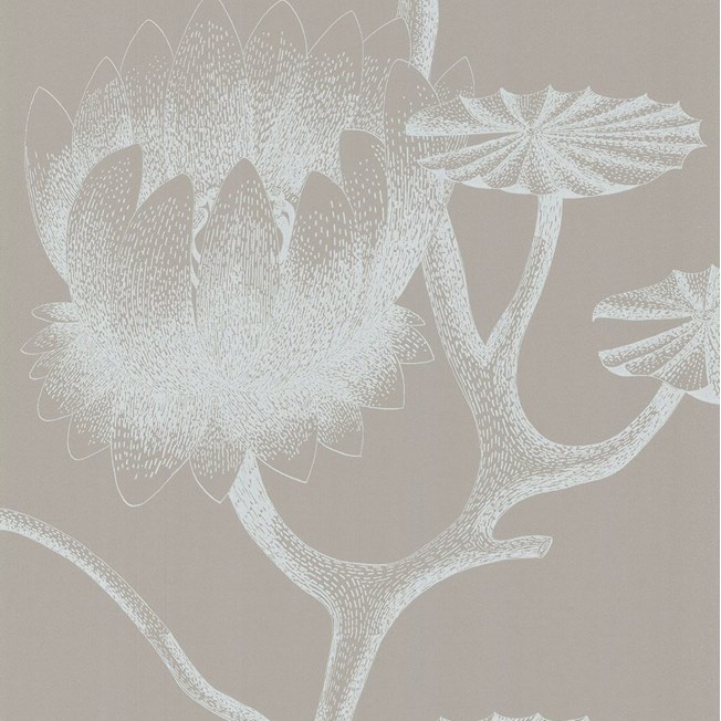 Wallpaper Lily