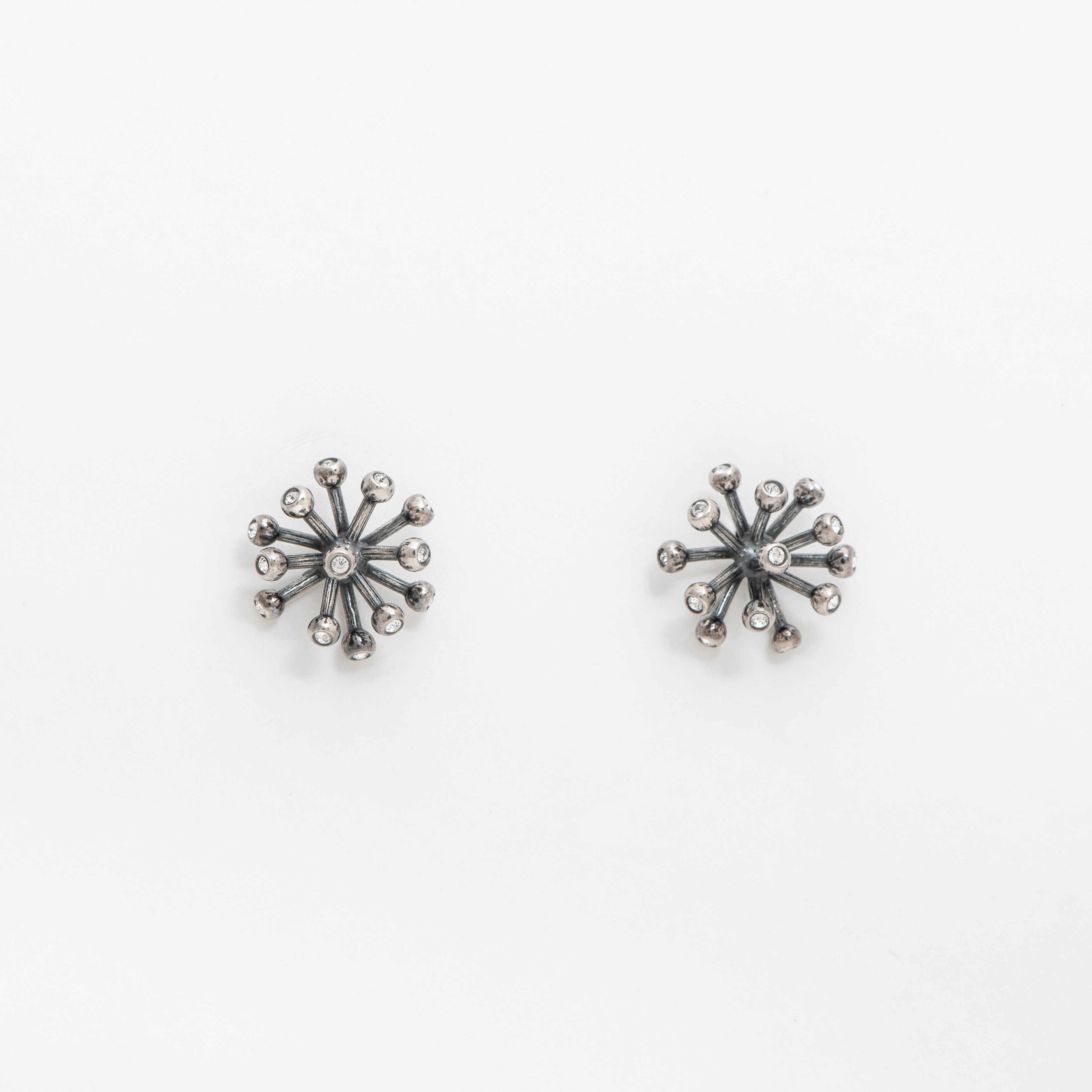 Earrings Wish