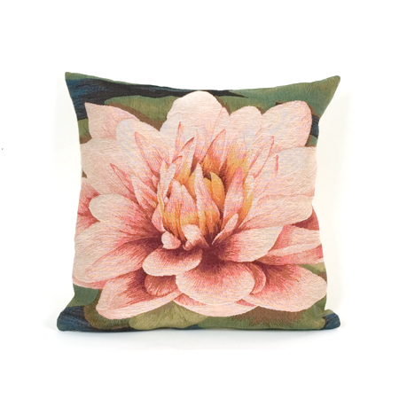 Cushion Waterlily