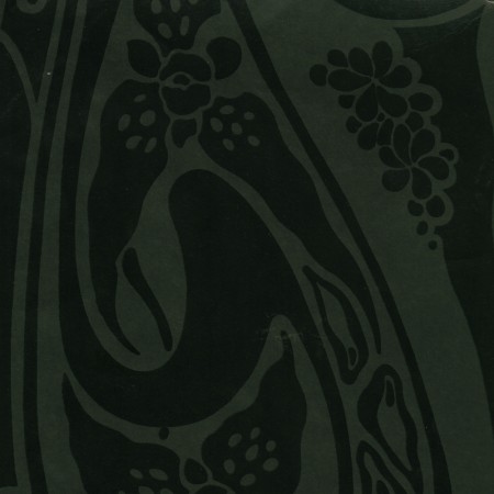 Wallpaper Lianas Black
