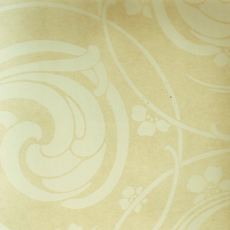 Wallpaper Heelal Vormen in Champagne