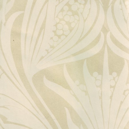 WallpaperLily in Champagne