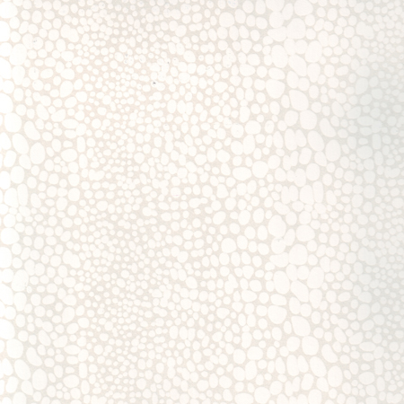 Wallpaper Shagren White / Silver