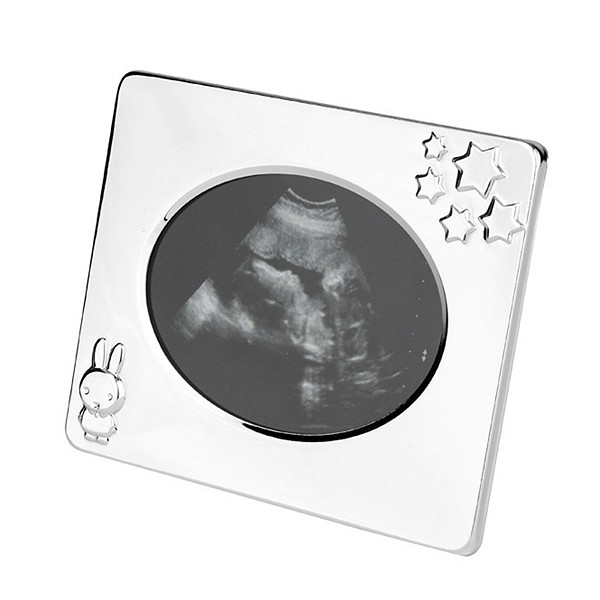 Echo Photo frame Miffy