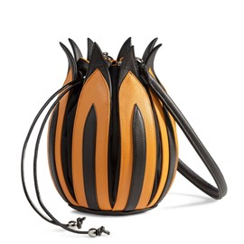 Backpack Tulip 'Rembrant'