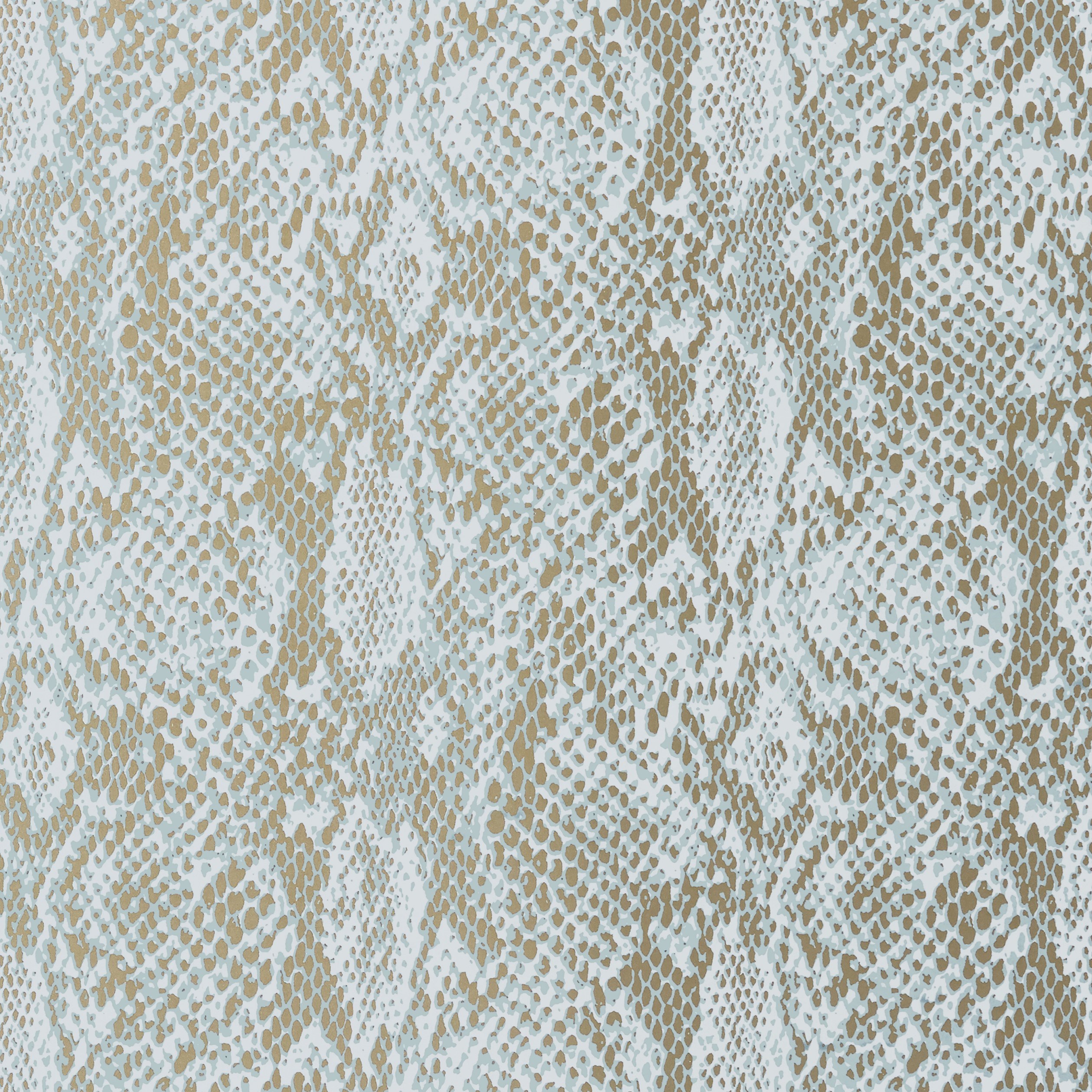 Wallpaper Python