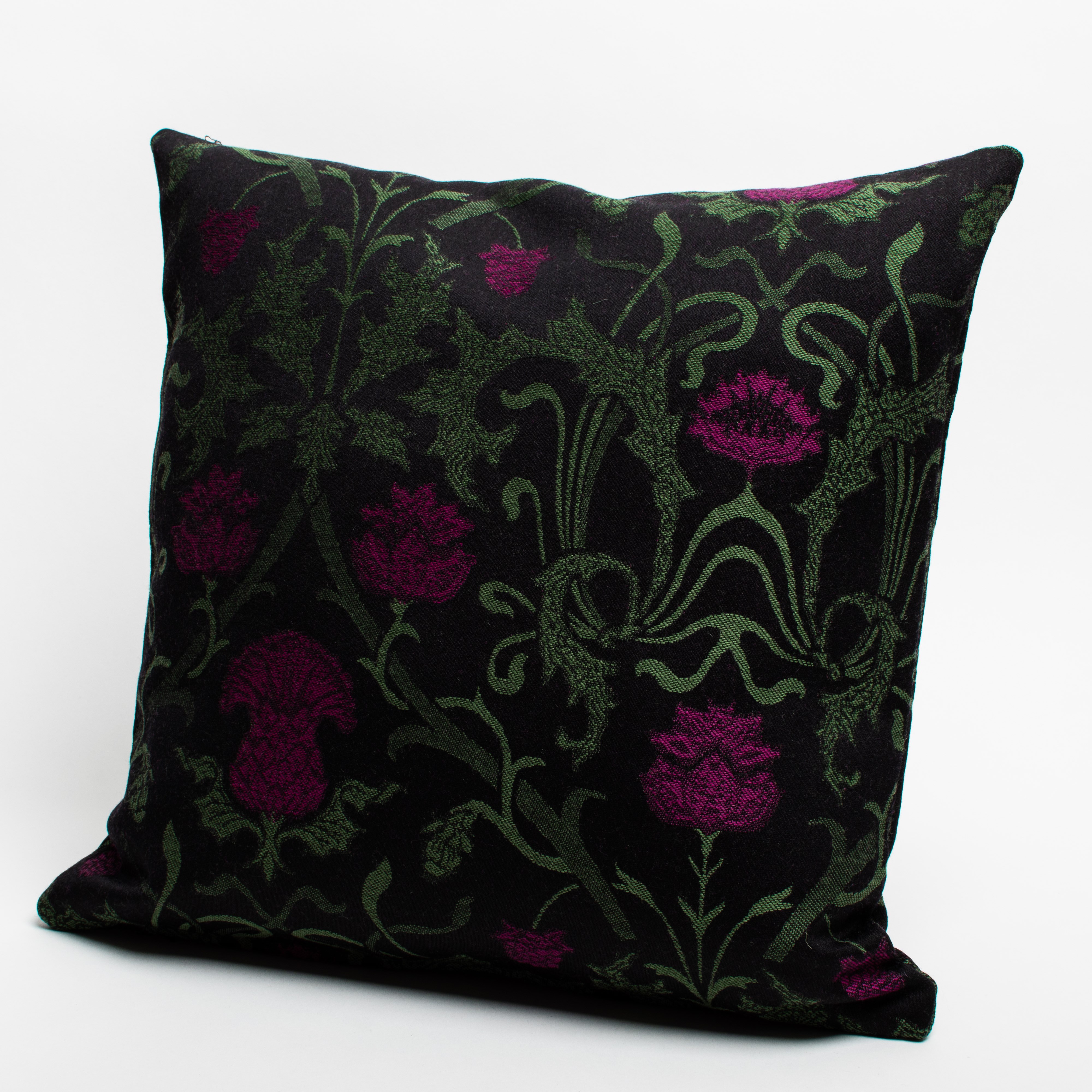 Cushion Curly thistle Violet