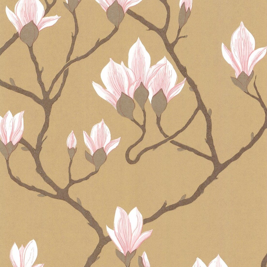 Wallpaper Magnolia