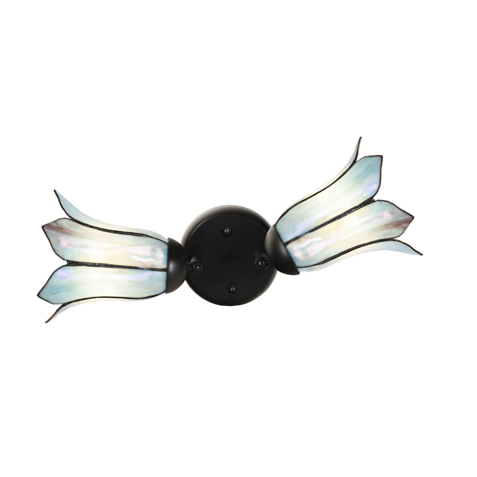 Double spot Black with Gentian Blue